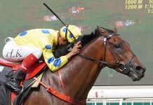 Stewards’ Cup in Mr Malek’s sights after resounding win