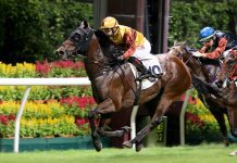 Hall, Whyte upstage big guns with Happy Valley doubles