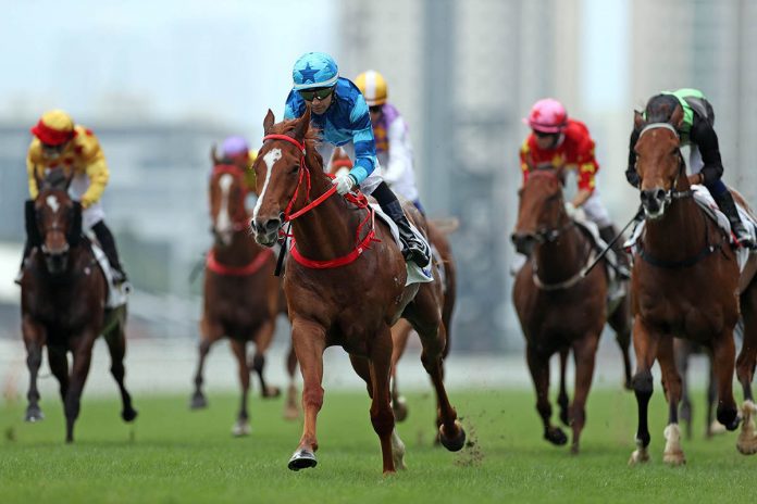 20211121-R3-4-Horse-shot-JCX37381o