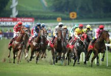 Kranji Track Spy: Sunday, 1 September Singapore Racing Action.