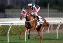 Zac Purton breaks Douglas Whyte’s prizemoney record ahead of LONGINES IJC defence