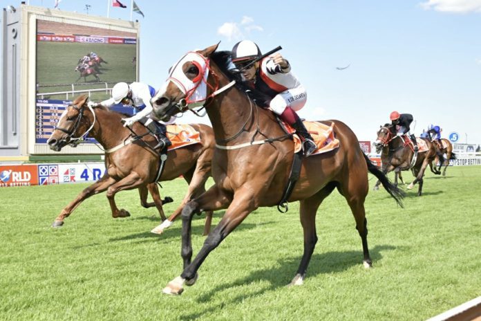 Diego de Gouveia & Bold Fortune