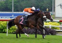 Team Gray hoping to have Kharisma to win big this year