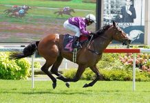 Red Ocean bounces back to best form