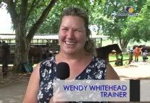 South Africa Racing – Best Bet Beechamwood Boy