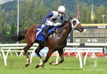 Malaysia Racing – Xena set to bounce back