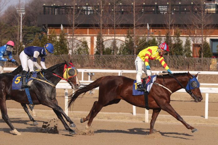 Determination Sports Chosun KRA