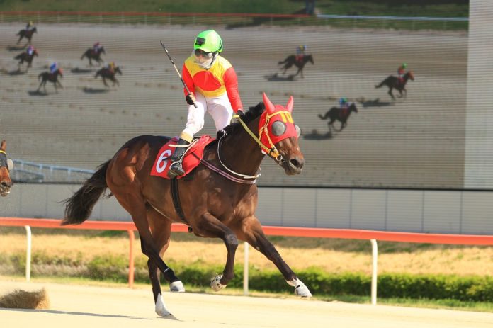 Captain Yankee Cup Mile KRA (002)