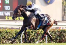 Vincent Ho retains faith in Golden Sixty’s ability to rebound