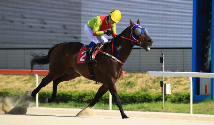 Eoma Eoma Busan Ilbo Sprint 2 KRA (002)