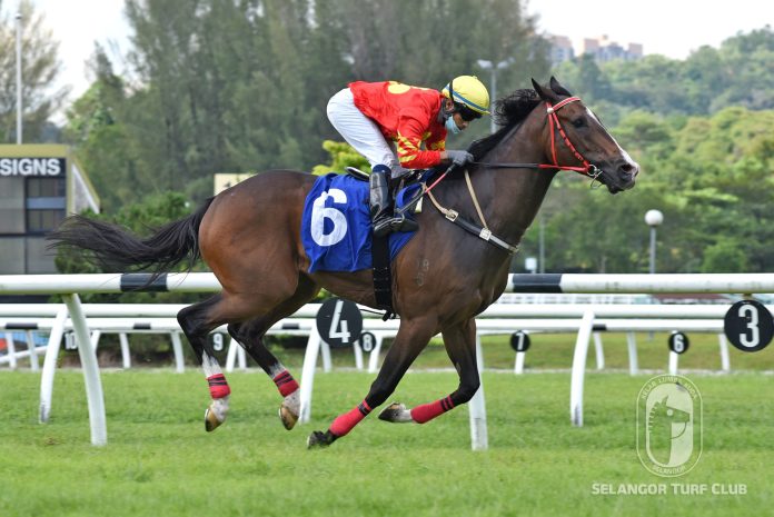 Star Bullet