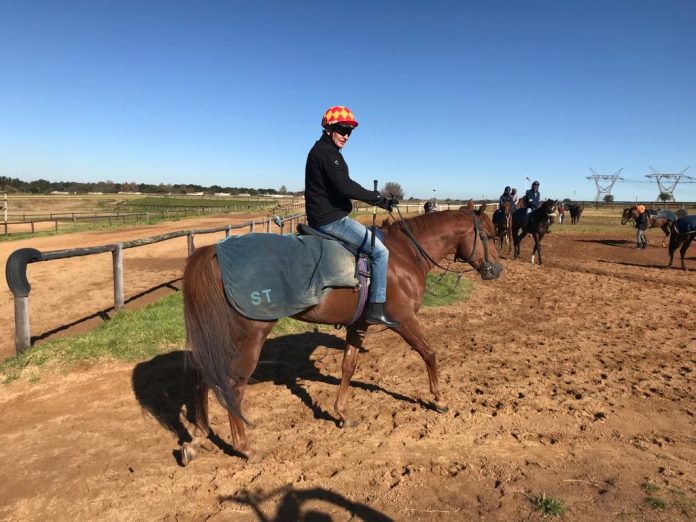 Piere Strydom
