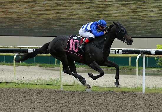 Star-Victory-051122