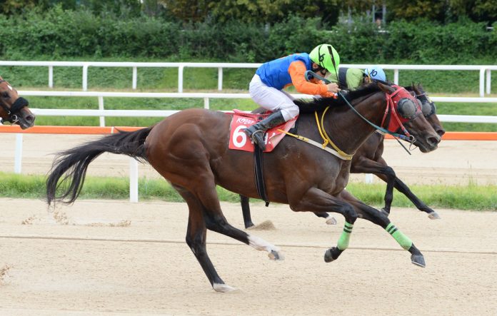 Winners Man KC KRA (002)