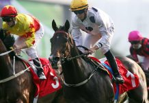 Champion Golden Sixty returns triumphant in BOCHK Private Wealth Jockey Club Mile