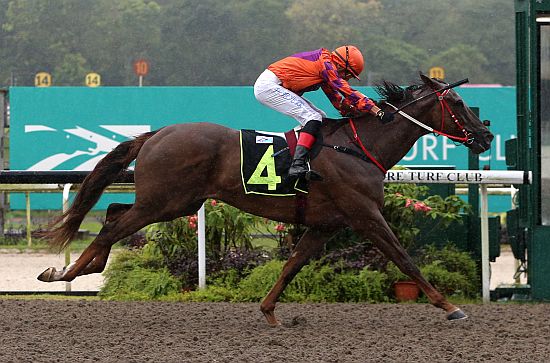 Last-Samurai-230123