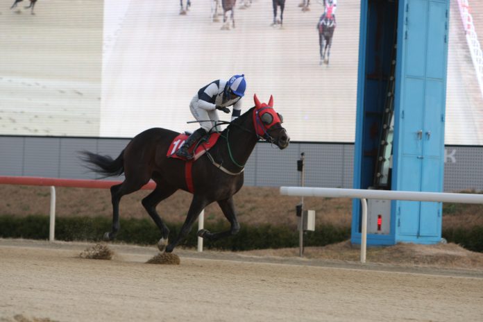 Speed Young Breeders' Cup 2022