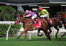 Excellent Peers chases crucial DBS x Manulife Million Challenge points