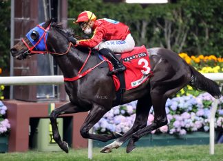 Encountered searches for his first Group race success at Sha Tin in the G3 Celebration Cup.