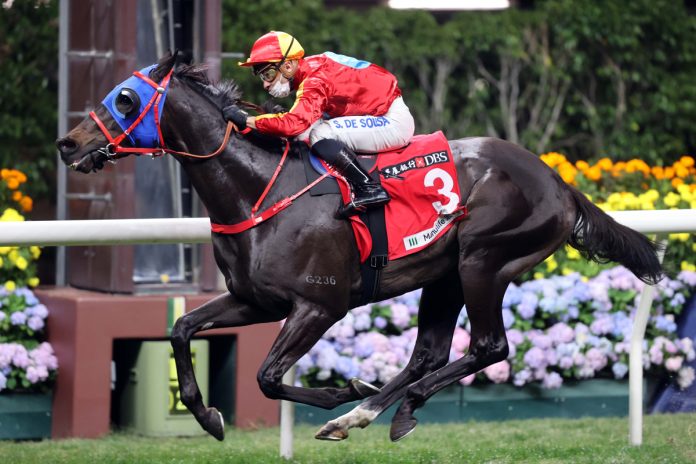 Encountered searches for his first Group race success at Sha Tin in the G3 Celebration Cup.