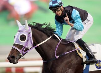 Super Sunny Sing is a horse on the rise.