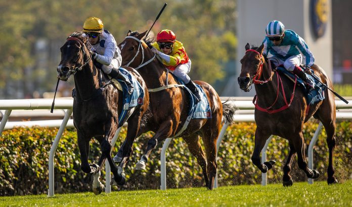 2023 Stewards Cup