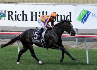Imperatriz aims to keep her winning streak going in Saturday's G1 VRC Champions Sprint at Flemington on Saturday.