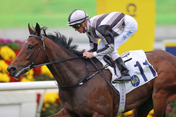 breednet-images-perfetto-14219