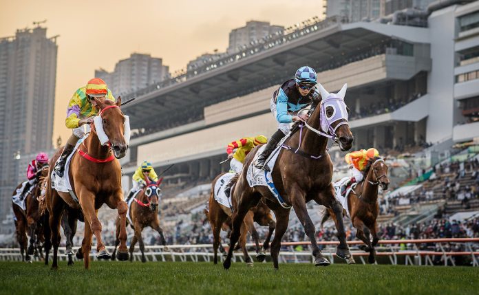 26.2.2023 Super Sunny Sing wins the Classic Cup