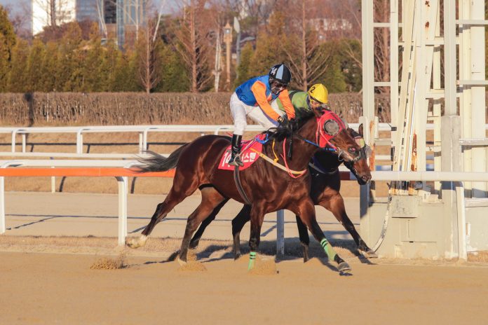 Winner's Man Grand Prix 2022 (002)