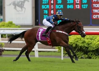 Lim's Kosciuszko (Wong Chin Chuen) puts his rivals to the sword in the Group 1 Kranji Mile on 20 May 2023.
