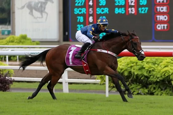 Lim's Kosciuszko (Wong Chin Chuen) puts his rivals to the sword in the Group 1 Kranji Mile on 20 May 2023.