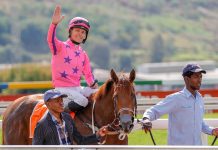 Fourie gets golden opportunity thanks to Greeff