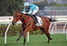 “浪漫勇士”再续传奇