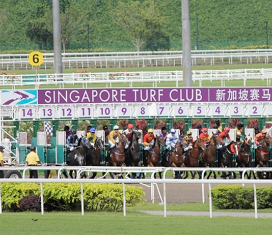 Singapore Racing Action.a