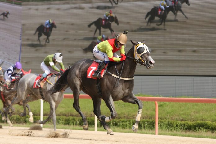 Jeulgeounyeojeong Oaks 1 KRA (002)