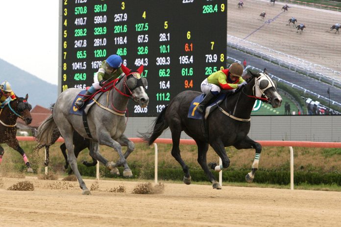 Jeulgeounyeojeong Raon Forest Luna Stakes 2023 KRA (002)