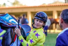 Say A Prayer for racing at Fairview