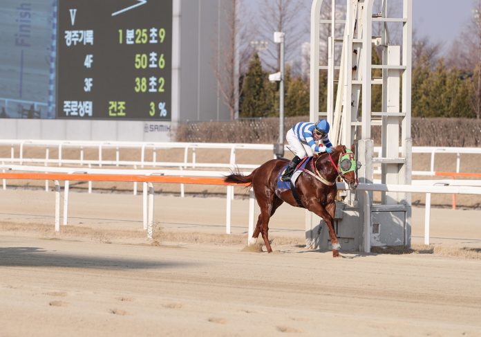 Something Lost Sports Seoul 2023 KRA (002)