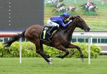 Quality and quantity in Clements’ bid for Group victories