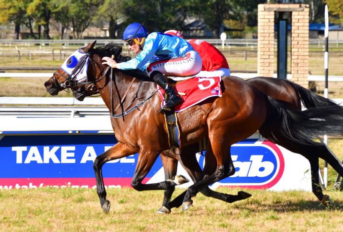 Gavin Lerena_Samoa