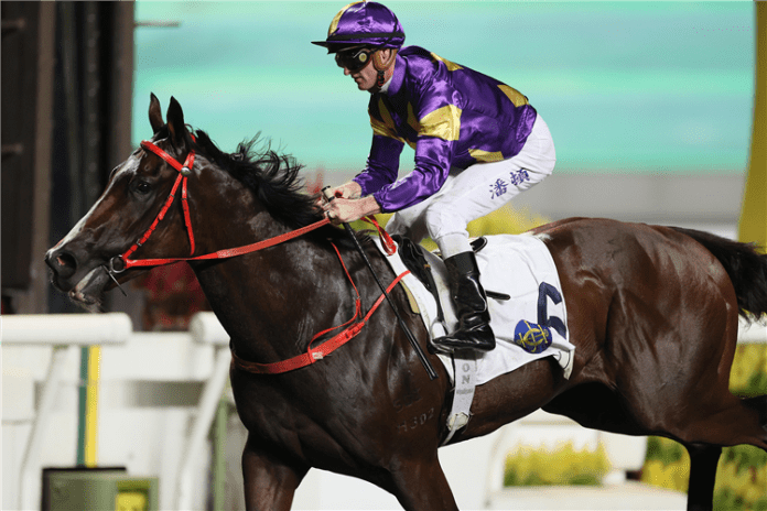 Horse-helios-express-191469-750x500 Helios Express is poised to start favourite in the Classic Mile.