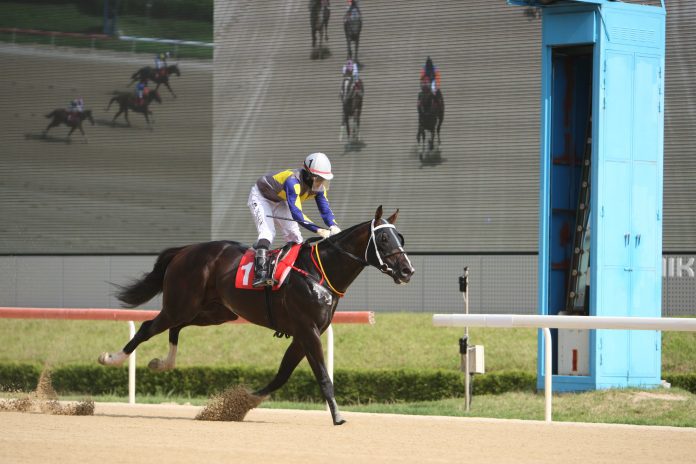 Tuhonui Banseok Busan Mayor's Cup 2023 2 (002)