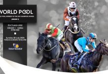 Racing Showdown: A look at the Thrilling Grade 1 World Pools Moment Of The Day Champion Stakes