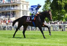 A Jacques le Marois of the usual stellar standard