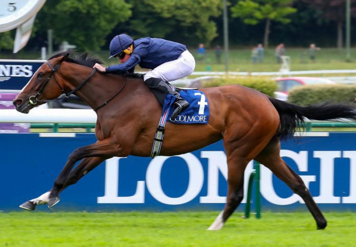 Above-The-Curve-American-Pharoah-Gr.1-Prix-Saint-Alar-3