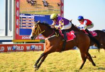 South Africa Racing – Spies has a bomb in the race