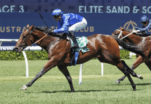 Corniche to delight in San Domenico