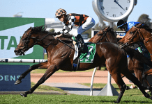 Australia Racing News: Saturday, August 5 & Sunday, August 6