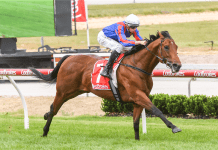 Australia Racing News: Saturday, August 12 & Sunday, August 13